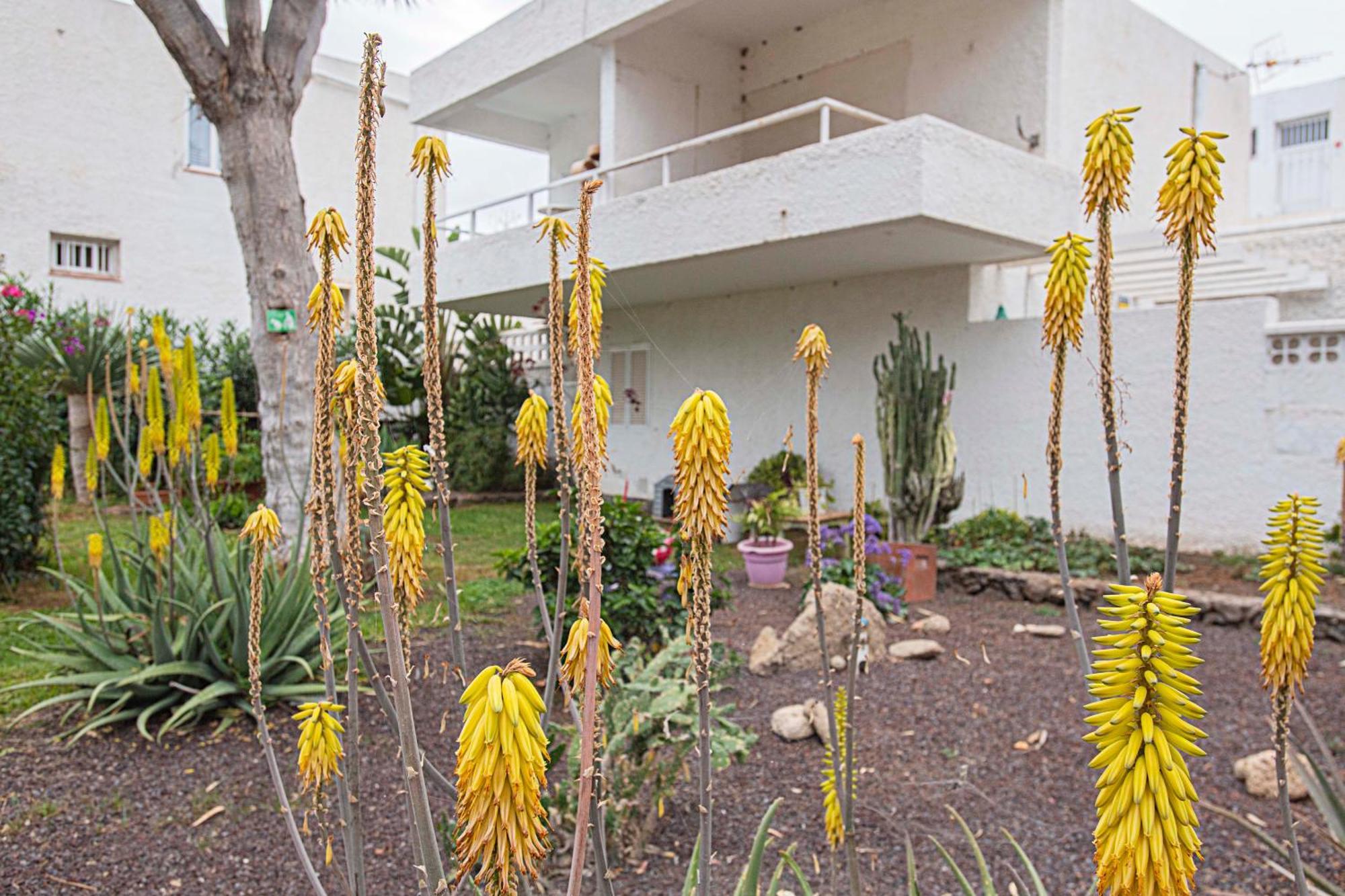 Appartamento Eureka Tenerife